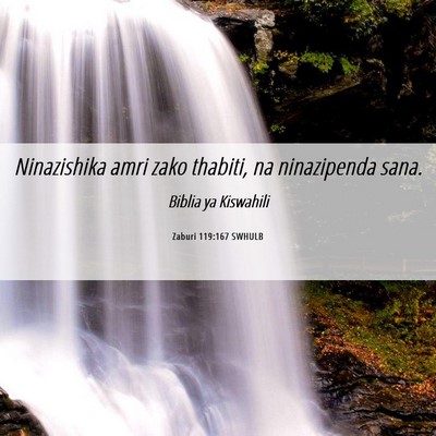 Picture 06 - Zaburi 119:167 SWHULB - Ninazishika amri zako thabiti, na ninazipenda - Bible Verse Picture