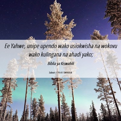 Picture 06 - Zaburi 119:41 SWHULB - Ee Yahwe, unipe upendo wako usiokwisha na wokovu - Bible Verse Picture