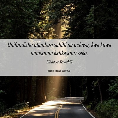 Picture 06 - Zaburi 119:66 SWHULB - Unifundishe utambuzi sahihi na uelewa, kwa kuwa - Bible Verse Picture
