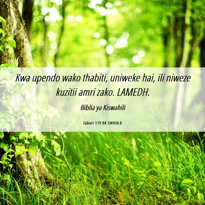 Picture 06 - Zaburi 119:88 SWHULB - Kwa upendo wako thabiti, uniweke hai, ili niweze - Bible Verse Picture