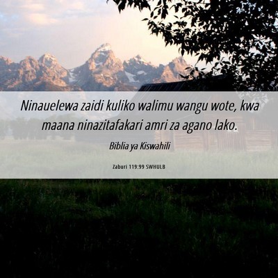 Picture 06 - Zaburi 119:99 SWHULB - Ninauelewa zaidi kuliko walimu wangu wote, kwa - Bible Verse Picture