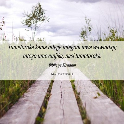 Picture 06 - Zaburi 124:7 SWHULB - Tumetoroka kama ndege mtegoni mwa wawindaji; - Bible Verse Picture