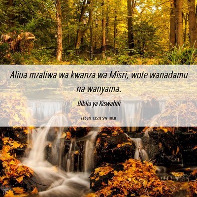 Picture 06 - Zaburi 135:8 SWHULB - Aliua mzaliwa wa kwanza wa Misri, wote wanadamu - Bible Verse Picture