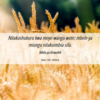 Picture 06 - Zaburi 138:1 SWHULB - Nitakushukuru kwa moyo wangu wote; mbele ya - Bible Verse Picture