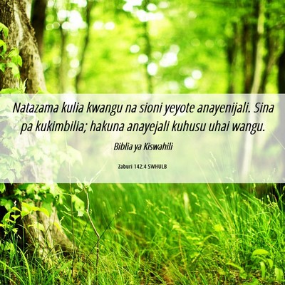 Picture 06 - Zaburi 142:4 SWHULB - Natazama kulia kwangu na sioni yeyote - Bible Verse Picture