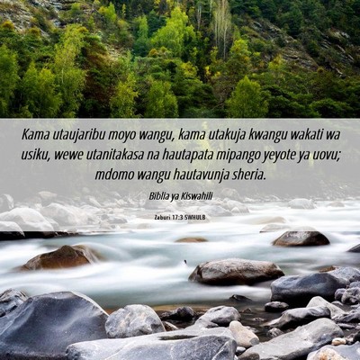 Picture 06 - Zaburi 17:3 SWHULB - Kama utaujaribu moyo wangu, kama utakuja kwangu - Bible Verse Picture