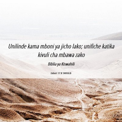 Picture 06 - Zaburi 17:8 SWHULB - Unilinde kama mboni ya jicho lako; unifiche - Bible Verse Picture