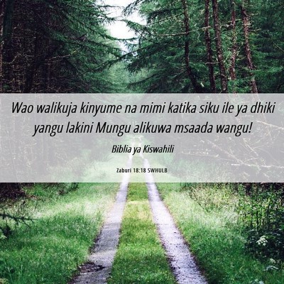 Picture 06 - Zaburi 18:18 SWHULB - Wao walikuja kinyume na mimi katika siku ile ya - Bible Verse Picture