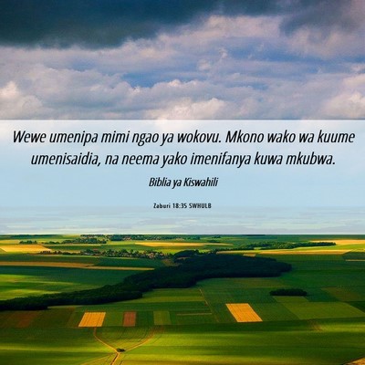 Picture 06 - Zaburi 18:35 SWHULB - Wewe umenipa mimi ngao ya wokovu. Mkono wako wa - Bible Verse Picture