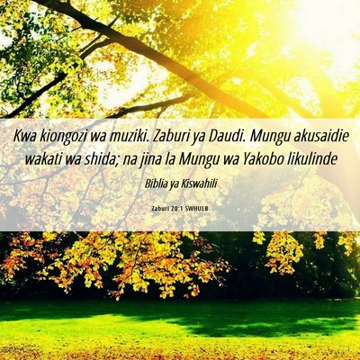 Picture 06 - Zaburi 20:1 SWHULB - Kwa kiongozi wa muziki. Zaburi ya Daudi. Mungu - Bible Verse Picture