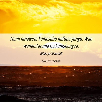 Picture 06 - Zaburi 22:17 SWHULB - Nami ninaweza kuihesabu mifupa yangu. Wao - Bible Verse Picture