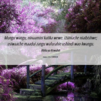 Picture 06 - Zaburi 25:2 SWHULB - Mungu wangu, ninaamini katika wewe. Usiniache - Bible Verse Picture