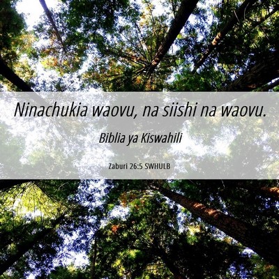 Picture 06 - Zaburi 26:5 SWHULB - Ninachukia waovu, na siishi na - Bible Verse Picture
