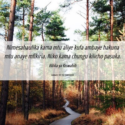 Picture 06 - Zaburi 31:12 SWHULB - Nimesahaulika kama mtu aliye kufa ambaye hakuna - Bible Verse Picture