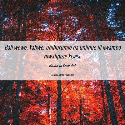 Picture 06 - Zaburi 41:10 SWHULB - Bali wewe, Yahwe, unihurumie na uniinue ili - Bible Verse Picture
