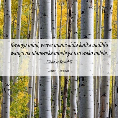 Picture 06 - Zaburi 41:12 SWHULB - Kwangu mimi, wewe unanisaidia katika uadilifu - Bible Verse Picture
