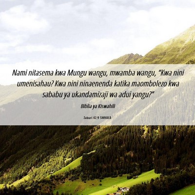 Picture 06 - Zaburi 42:9 SWHULB - Nami nitasema kwa Mungu wangu, mwamba wangu, - Bible Verse Picture