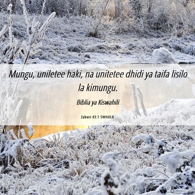 Picture 06 - Zaburi 43:1 SWHULB - Mungu, uniletee haki, na unitetee dhidi ya taifa - Bible Verse Picture