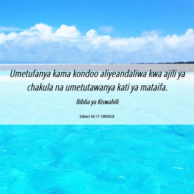 Picture 06 - Zaburi 44:11 SWHULB - Umetufanya kama kondoo aliyeandaliwa kwa ajili ya - Bible Verse Picture