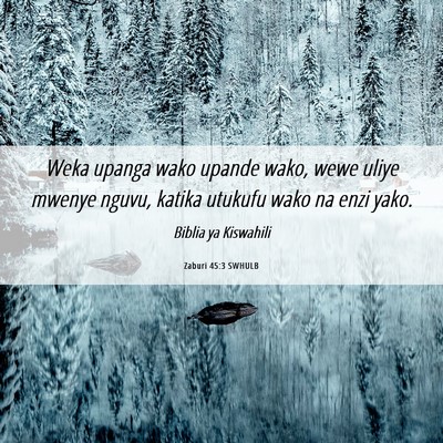 Picture 06 - Zaburi 45:3 SWHULB - Weka upanga wako upande wako, wewe uliye mwenye - Bible Verse Picture