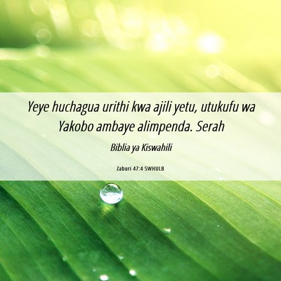 Picture 06 - Zaburi 47:4 SWHULB - Yeye huchagua urithi kwa ajili yetu, utukufu wa - Bible Verse Picture
