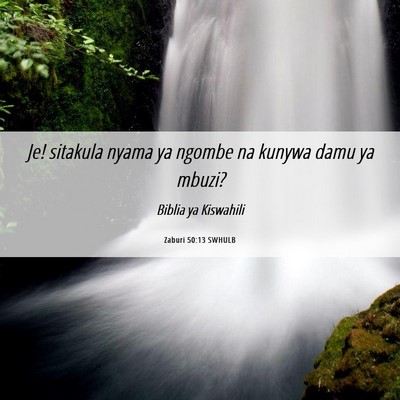 Picture 06 - Zaburi 50:13 SWHULB - Je! sitakula nyama ya ngombe na kunywa damu ya - Bible Verse Picture