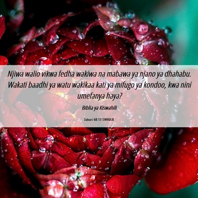 Picture 06 - Zaburi 68:13 SWHULB - Njiwa walio vikwa fedha wakiwa na mabawa ya njano - Bible Verse Picture