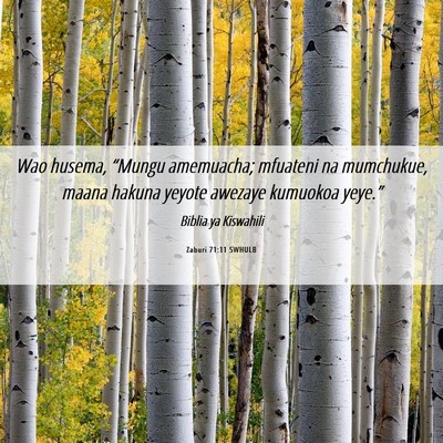 Picture 06 - Zaburi 71:11 SWHULB - Wao husema, “Mungu amemuacha; mfuateni na - Bible Verse Picture