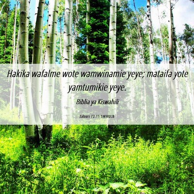 Picture 06 - Zaburi 72:11 SWHULB - Hakika wafalme wote wamwinamie yeye; mataifa yote - Bible Verse Picture