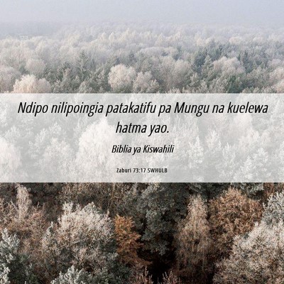 Picture 06 - Zaburi 73:17 SWHULB - Ndipo nilipoingia patakatifu pa Mungu na kuelewa - Bible Verse Picture