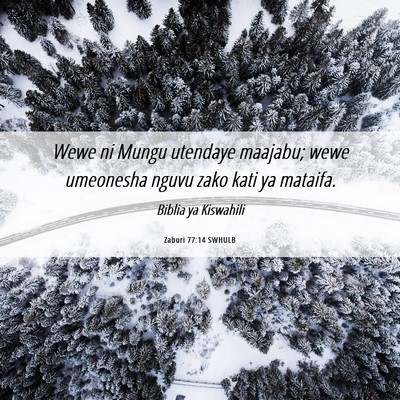 Picture 06 - Zaburi 77:14 SWHULB - Wewe ni Mungu utendaye maajabu; wewe umeonesha - Bible Verse Picture