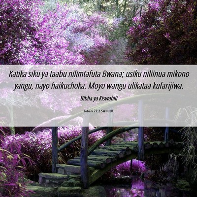 Picture 06 - Zaburi 77:2 SWHULB - Katika siku ya taabu nilimtafuta Bwana; usiku - Bible Verse Picture