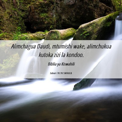 Picture 06 - Zaburi 78:70 SWHULB - Alimchagua Daudi, mtumishi wake, alimchukua - Bible Verse Picture