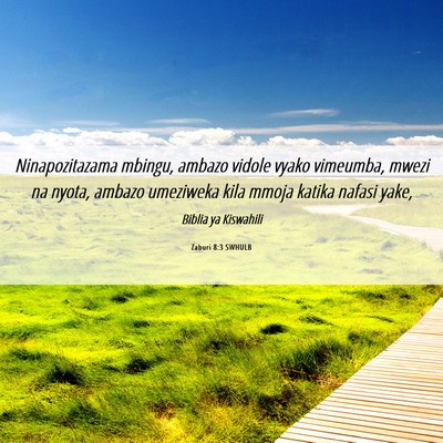Picture 06 - Zaburi 8:3 SWHULB - Ninapozitazama mbingu, ambazo vidole vyako - Bible Verse Picture