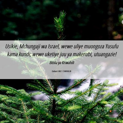 Picture 06 - Zaburi 80:1 SWHULB - Usikie, Mchungaji wa Israel, wewe uliye muongoza - Bible Verse Picture