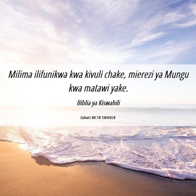 Picture 06 - Zaburi 80:10 SWHULB - Milima ilifunikwa kwa kivuli chake, mierezi ya - Bible Verse Picture