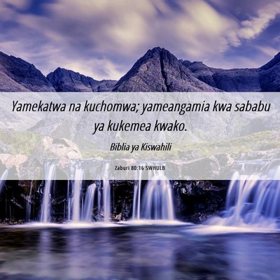 Picture 06 - Zaburi 80:16 SWHULB - Yamekatwa na kuchomwa; yameangamia kwa sababu ya - Bible Verse Picture