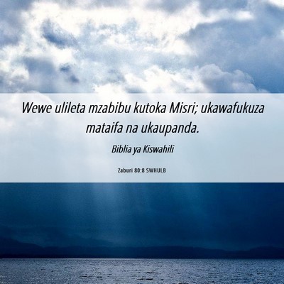 Picture 06 - Zaburi 80:8 SWHULB - Wewe ulileta mzabibu kutoka Misri; ukawafukuza - Bible Verse Picture