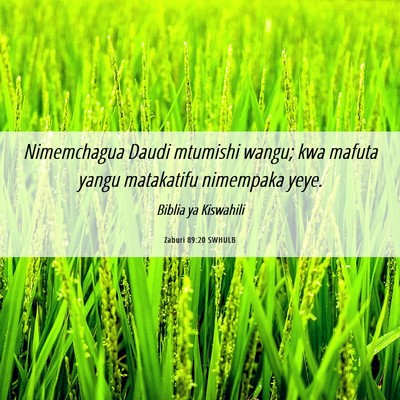 Picture 06 - Zaburi 89:20 SWHULB - Nimemchagua Daudi mtumishi wangu; kwa mafuta - Bible Verse Picture