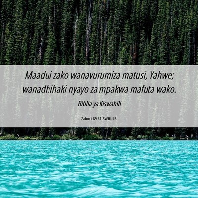 Picture 06 - Zaburi 89:51 SWHULB - Maadui zako wanavurumiza matusi, Yahwe; - Bible Verse Picture