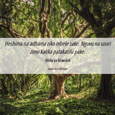 Picture 06 - Zaburi 96:6 SWHULB - Heshima na adhama ziko mbele zake. Nguvu na uzuri - Bible Verse Picture