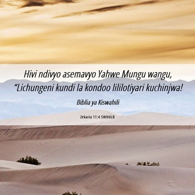 Picture 06 - Zekaria 11:4 SWHULB - Hivi ndivyo asemavyo Yahwe Mungu wangu, - Bible Verse Picture