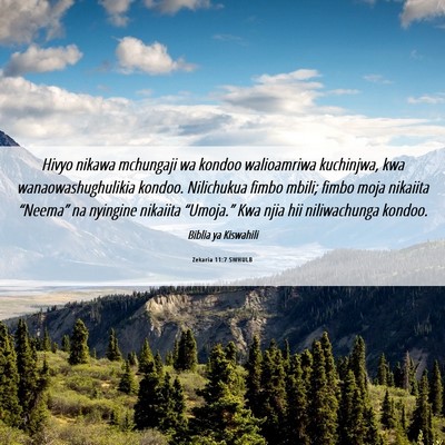 Picture 06 - Zekaria 11:7 SWHULB - Hivyo nikawa mchungaji wa kondoo walioamriwa - Bible Verse Picture