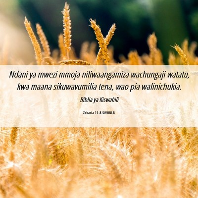 Picture 06 - Zekaria 11:8 SWHULB - Ndani ya mwezi mmoja niliwaangamiza wachungaji - Bible Verse Picture