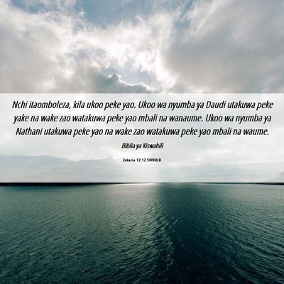 Picture 06 - Zekaria 12:12 SWHULB - Nchi itaomboleza, kila ukoo peke yao. Ukoo wa - Bible Verse Picture