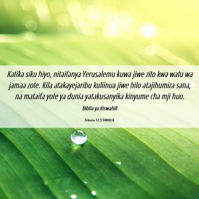 Picture 06 - Zekaria 12:3 SWHULB - Katika siku hiyo, nitaifanya Yerusalemu kuwa jiwe - Bible Verse Picture
