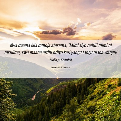 Picture 06 - Zekaria 13:5 SWHULB - Kwa maana kila mmoja atasema, 'Mimi siyo nabii! - Bible Verse Picture