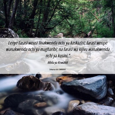 Picture 06 - Zekaria 6:6 SWHULB - Lenye farasi weusi linakwenda nchi ya kaskazini; - Bible Verse Picture