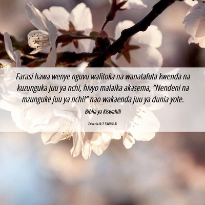 Picture 06 - Zekaria 6:7 SWHULB - Farasi hawa wenye nguvu walitoka na wanatafuta - Bible Verse Picture