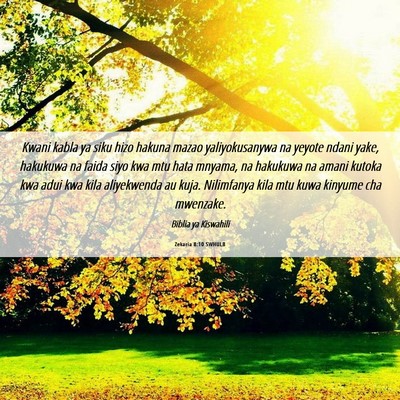 Picture 06 - Zekaria 8:10 SWHULB - Kwani kabla ya siku hizo hakuna mazao - Bible Verse Picture